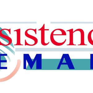 ASISTENCIA LEMANS S.L.